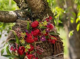 petirrojo americano en un nido construido en una corona de flores foto