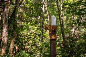 Trail signpost in forest showing the way on the pathway photo