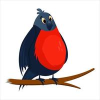 pájaro de dibujos animados camachuelo rojo aislado. ramas de árboles con pájaros. camachuelos de invierno brillante en la sesión. personaje de pájaro de invierno. ilustración vectorial de dibujos animados vector