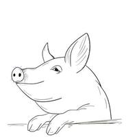 A pig sketch. Chinese New Year vector