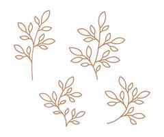 conjunto de hojas, ramas y hojas vectoriales, elementos florales dibujados a mano, hojas de colección, diseño de esquema de hojas vector