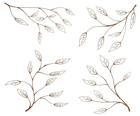 branch, leaves, set of floral elements, leaves vector elements, hand drawn leaves, branch and leaves, elegant illustration for design leaf