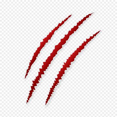 Claws scratches blood isolated on transparent background
