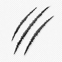 Claws scratches isolated on transparent background vector