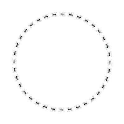 Ants circle frame. Path ants on circle