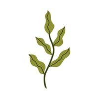 branch with leaves in doodle style vector