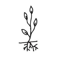 branch with roots in the style of doodle vector
