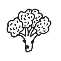 broccoli in doodle style vector