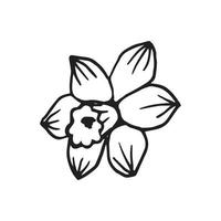 vector image of flower in doodle style