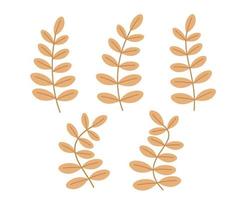 set of leaves, decorative leaves and wreaths, Tree branches with leaf vector