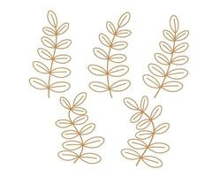 Vector hand drawn outline design elements, Hand drawn decorative leaves and wreaths, Tree branches with leaf