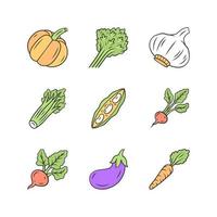 Vegetables color icons set. Pumpkin, beet, corn, tomato, pepper. Vitamin and diet. Healthy nutrition. Vegetable farm. Vegetarian food. Agriculture plant. Isolated vector illustrations