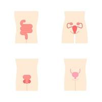 Conjunto de iconos de color de sombra larga de diseño plano de órganos humanos sanos. intestinos y vejiga urinaria en buen estado de salud. funcionamiento de los sistemas reproductivos de hombres y mujeres. Fertilidad. Ilustraciones de silueta vector