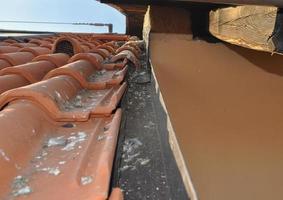 Pigeon damages on roof photo
