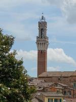 Mangia Tower in Piazza del Campo in Siena photo