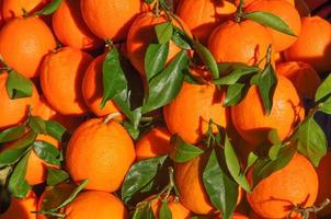 tangerine fruit food photo