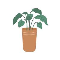 Potted plant in flat style. House plant in pot or planter. Vector illustration isolated on white background