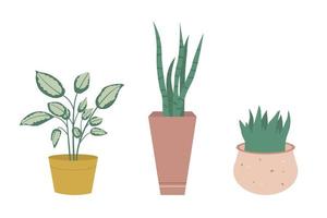 conjunto de plantas de interior aisladas sobre fondo blanco. colección de decoración para el hogar de plantas en macetas de estilo plano. ilustración vectorial vector