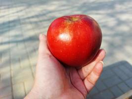 hand with a red apple photo