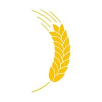 Ears of wheat. Whole grains for making bread. vector