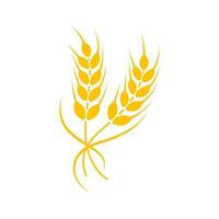 Ears of wheat. Whole grains for making bread. vector