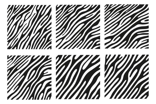 Black stripes on the skin of a zebra for decoration graphics