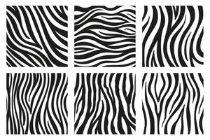 Black stripes on the skin of a zebra for decoration graphics vector