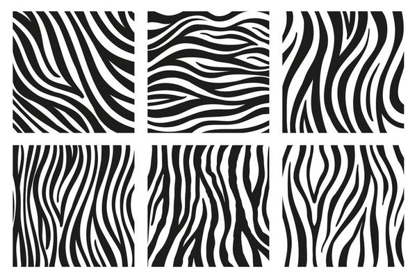 Zebra Stripes Vector Art, Icons, and Graphics for Free Download