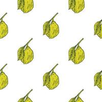 Seamless pattern engraved lemon on branch with leaves. Vintage background lime growing on twig in hand drawn style. vector