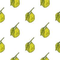 Seamless pattern engraved lemon on branch with leaves. Vintage background lime growing on twig in hand drawn style. vector