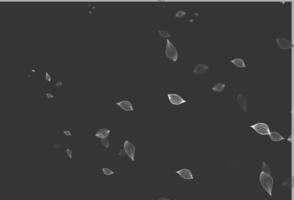 Light Silver, Gray vector sketch layout.
