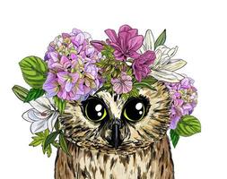 Cute owl with flowers on its head, full color