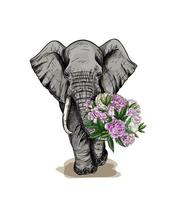 Big elephant holding a bouquet of pink peonies in his trunk vector