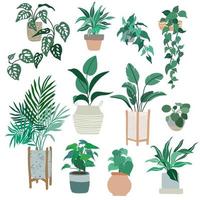 House plants in pots, trendy hand drawn vector flat illustration, urban jungle design, tropical plants.