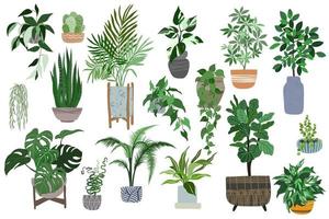 Big collection of home plants in pots, scandi design vector