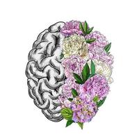 Brain semispheres, right semisphere is composed of peonies vector