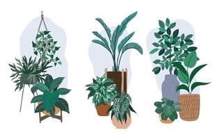 tres composiciones de plantas de interior, plantas tropicales en maceta vector