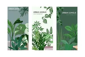 conjunto de tres plantillas de tarjetas con plantas de interior vector