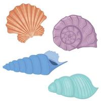 A set of colored seashells. Isolated vector illustration on a white background