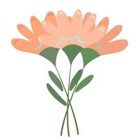 Bouquet of pink spring flowers. Flat vector illustration