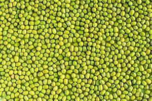 Large group of green mung bean from natural Sunbathes outdoors during the day to kill mold and any virus. The concept of sunlight kills the coronavirus, COVID-19, and other pathogens. Bean background photo