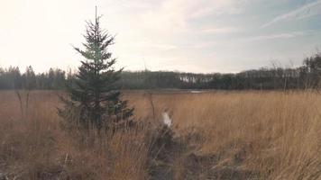 Grassy Field during Day video