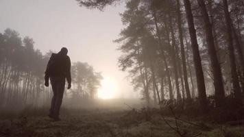 man går i en skog på en dimmig morgon video