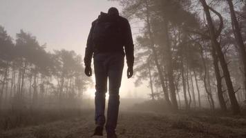 uomo che cammina in una foresta in una nebbiosa mattina video
