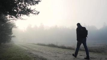 Silhouette eines Mannes, der im Nebel einen Feldweg hinuntergeht video