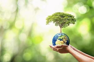 mano que sostiene el globo con la plantación de árboles y el concepto ecológico de naturaleza verde borrosa. elementos de esta imagen amueblados nasa foto