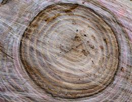 hermosa fractura de madera de roble viejo, textura natural de cerca foto