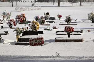 Flowers on graves in winter photo