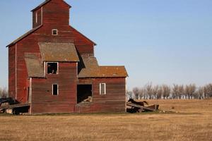 Horse running behind dilapidated wooden grain elevator photo