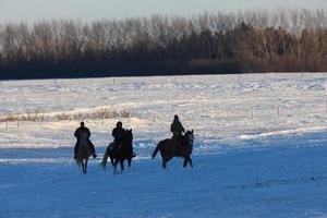 Horseback Rding in Winter Canada photo